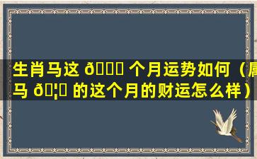 生肖马这 🐕 个月运势如何（属马 🦈 的这个月的财运怎么样）